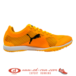 PUMA - POINTES HARAKA 7 UNISEXE - Sun Stream