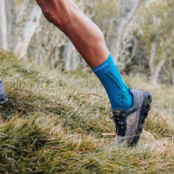 COMPRESSPORT - PRO RACING SOCKS V4.0 TRAIL - Hawaiian Ocean / Shaded Pruce